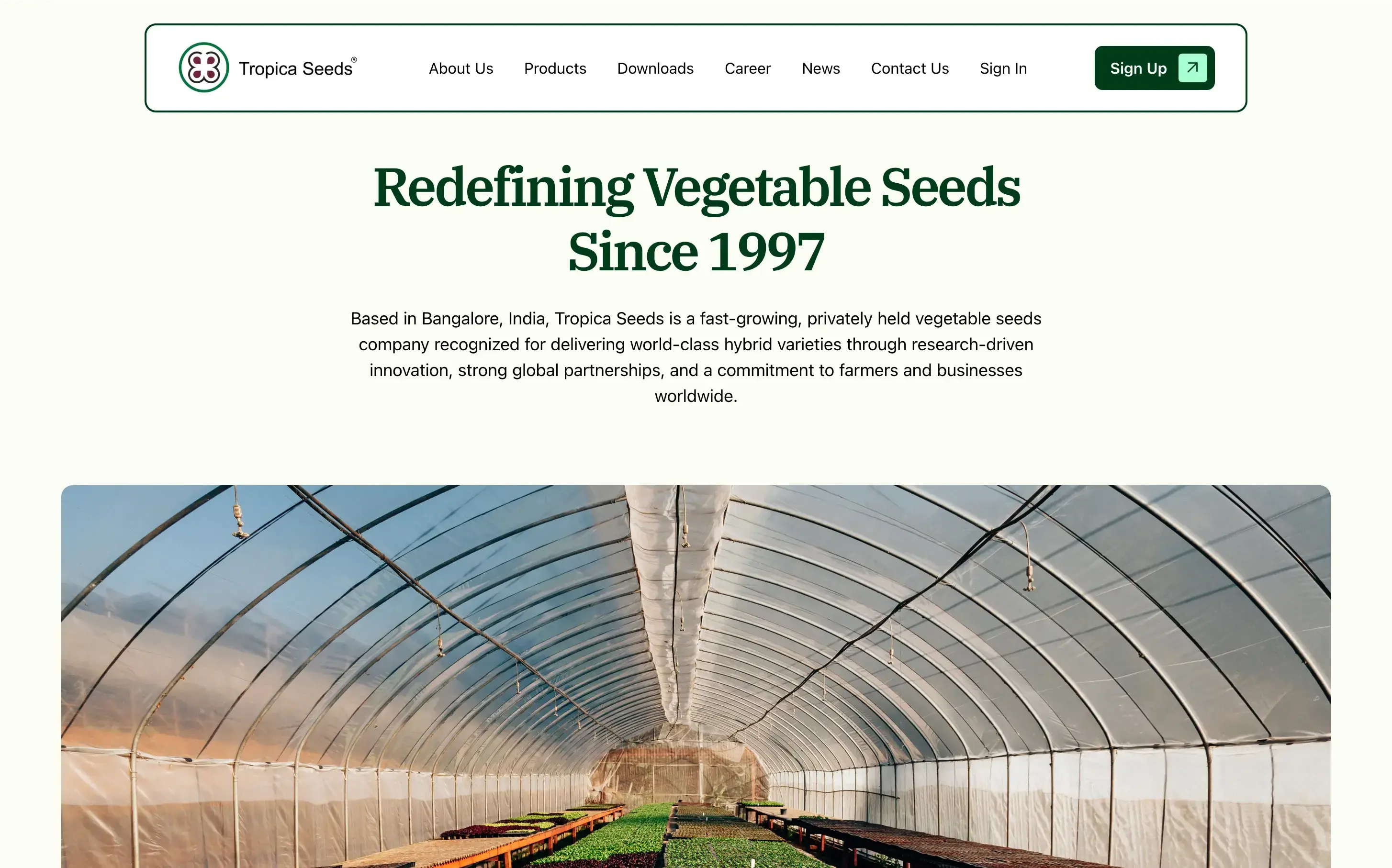 About Us